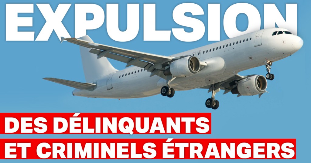 Pétition de Damoclès pour l&rsquo;expulsion des délinquants et criminels&nbsp;étrangers