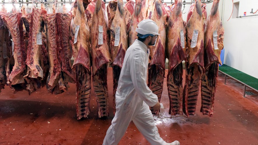 Pourquoi les clusters se multiplient-ils dans les&nbsp;abattoirs?