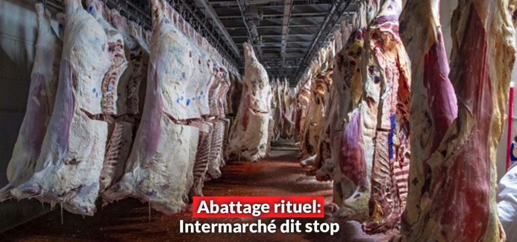 abattage rituel intermarche dit stop