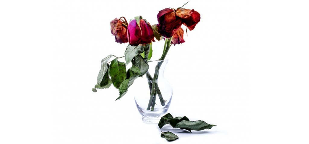 Elisabeth Badinter: la gauche s&rsquo;est compromise avec l&rsquo;islam politique depuis 30&nbsp;ans