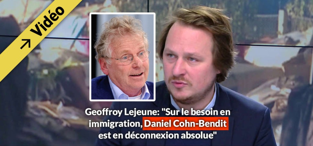 Geoffroy Lejeune: &laquo;&nbsp;Sur le besoin en immigration, Daniel Cohn-Bendit est en déconnexion absolue&nbsp;&raquo;