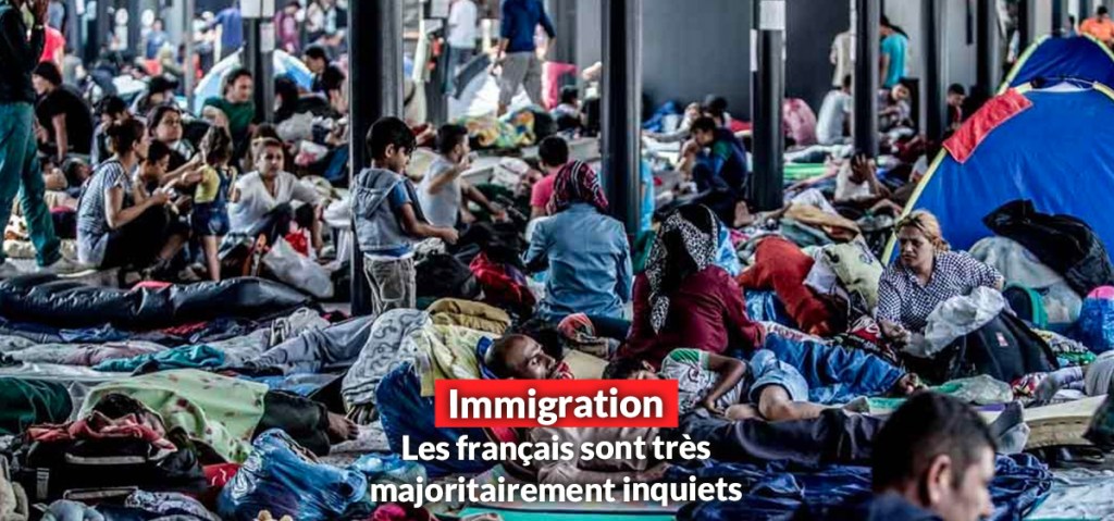 L&rsquo;inquiétude de l&rsquo;immigration très largement majoritaire chez les&nbsp;français