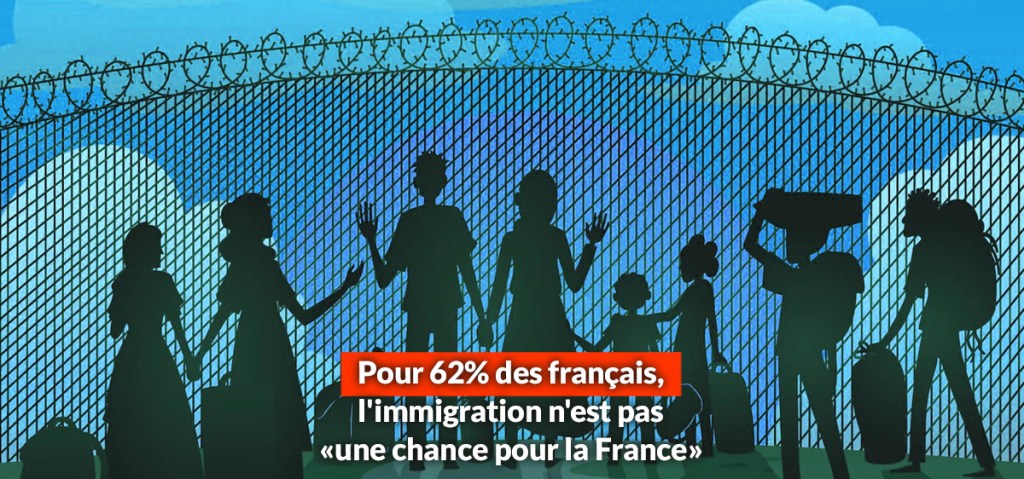 immigration pas une chance pour la france