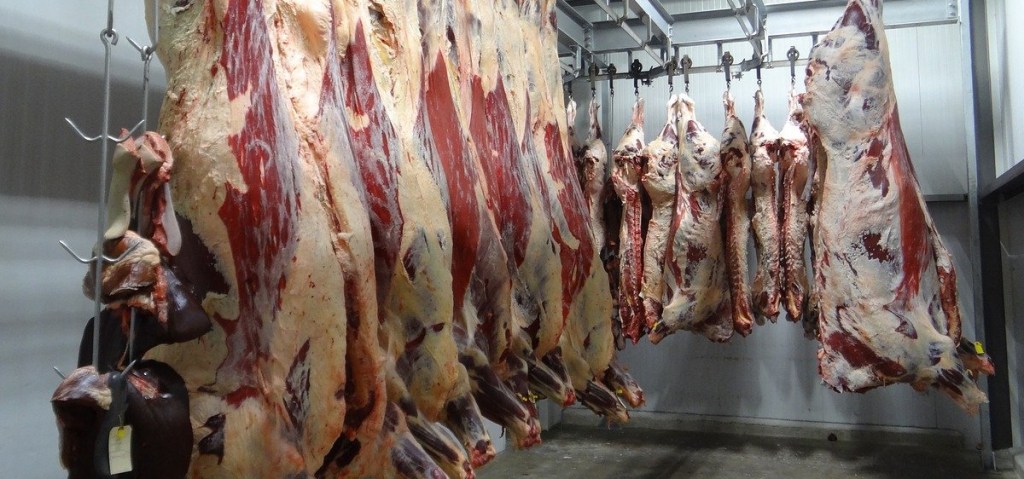 (Extrait) «En France, nous consommons des viandes halal sans en avoir&nbsp;conscience»